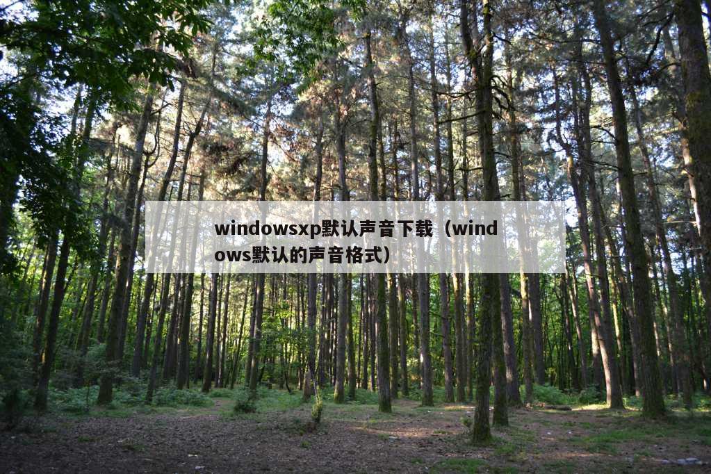 windowsxp默认声音下载（windows默认的声音格式）