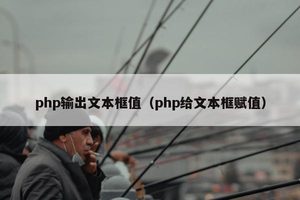 php输出文本框值（php给文本框赋值）