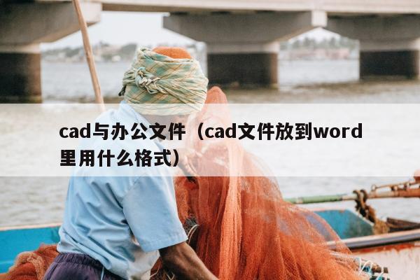 cad与办公文件（cad文件放到word里用什么格式）