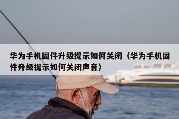 华为手机固件升级提示如何关闭（华为手机固件升级提示如何关闭声音）