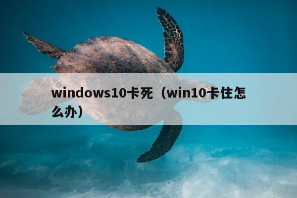 windows10卡死（win10卡住怎么办）