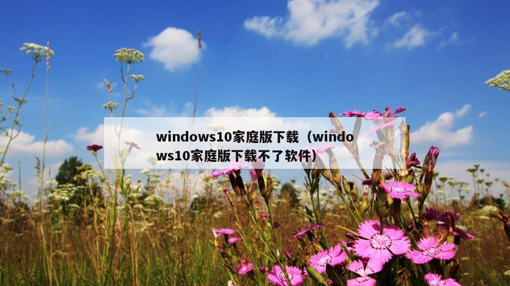 windows10家庭版下载（windows10家庭版下载不了软件）