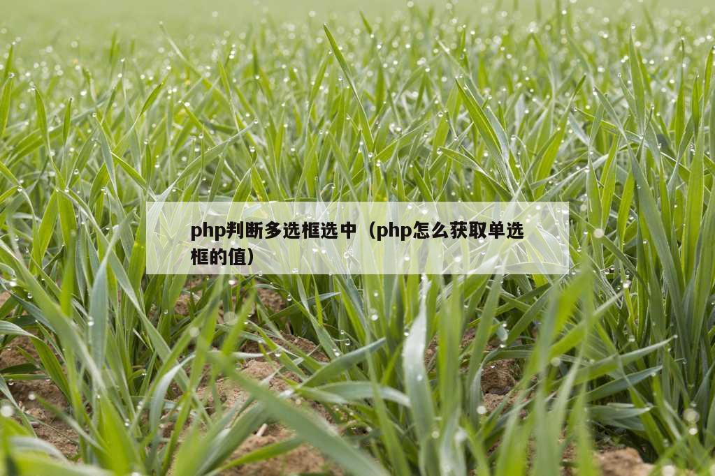 php判断多选框选中（php怎么获取单选框的值）