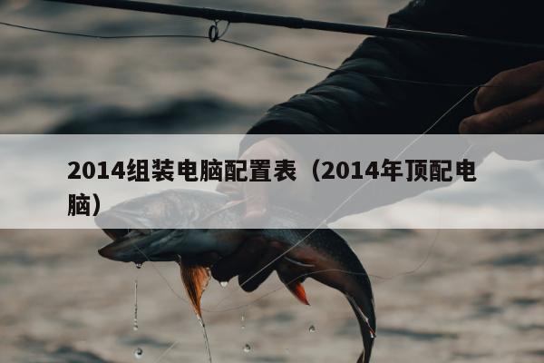 2014组装电脑配置表（2014年顶配电脑）