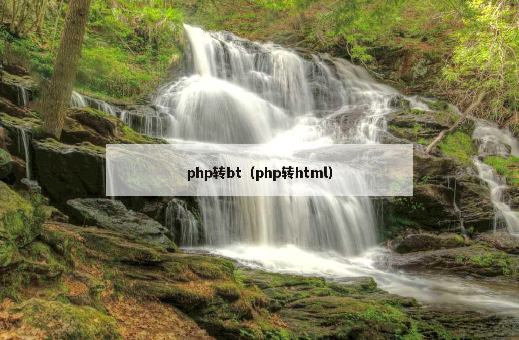 php转bt（php转html）