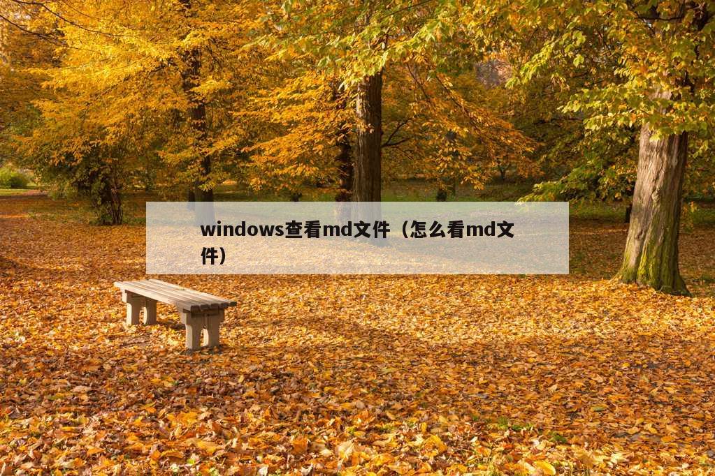 windows查看md文件（怎么看md文件）