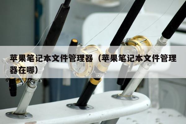 苹果笔记本文件管理器（苹果笔记本文件管理器在哪）