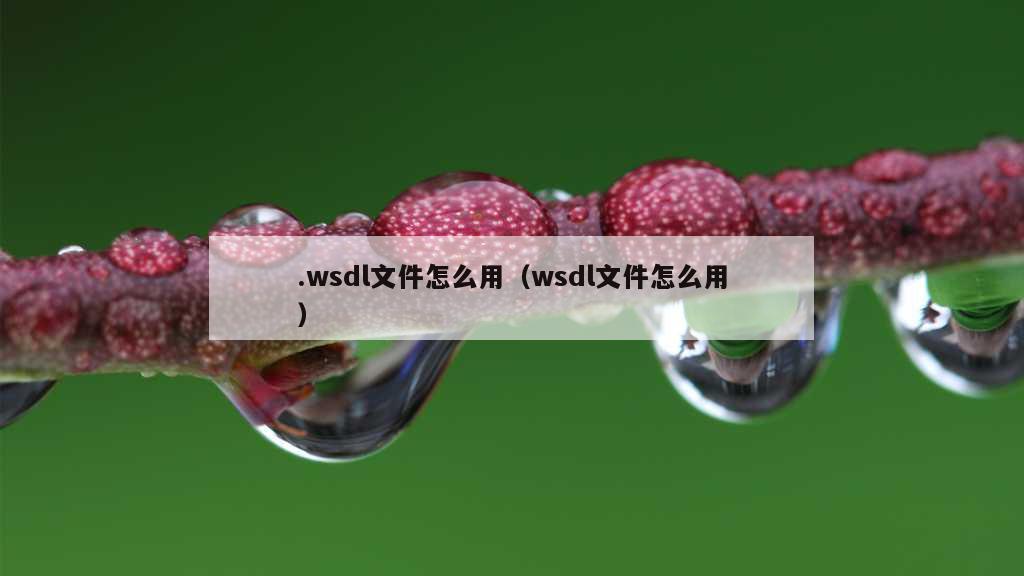 .wsdl文件怎么用（wsdl文件怎么用）