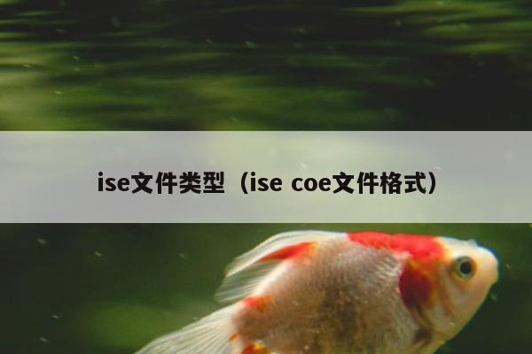 ise文件类型（ise coe文件格式）