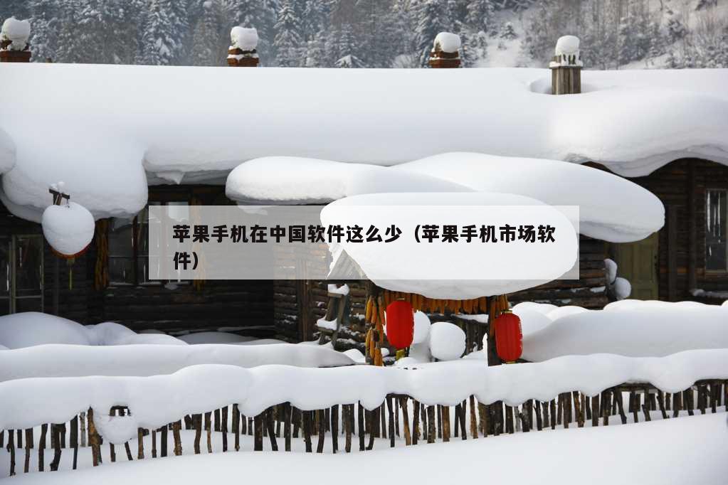 苹果手机在中国软件这么少（苹果手机市场软件）