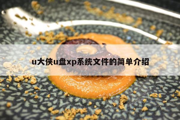 u大侠u盘xp系统文件的简单介绍