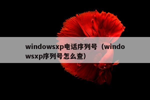 windowsxp电话序列号（windowsxp序列号怎么查）