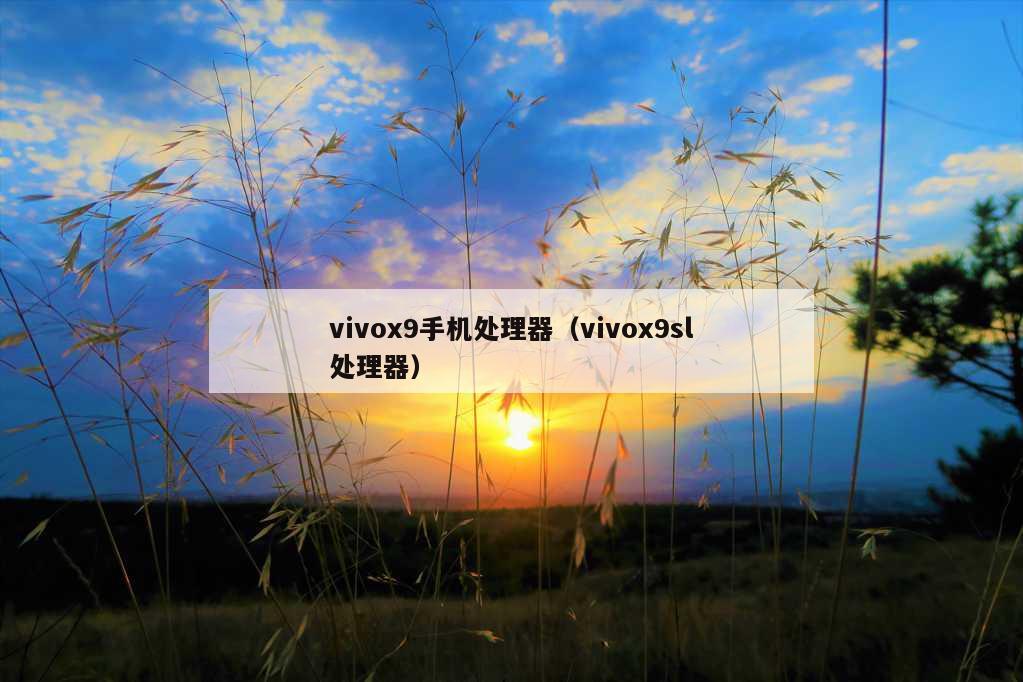 vivox9手机处理器（vivox9sl处理器）