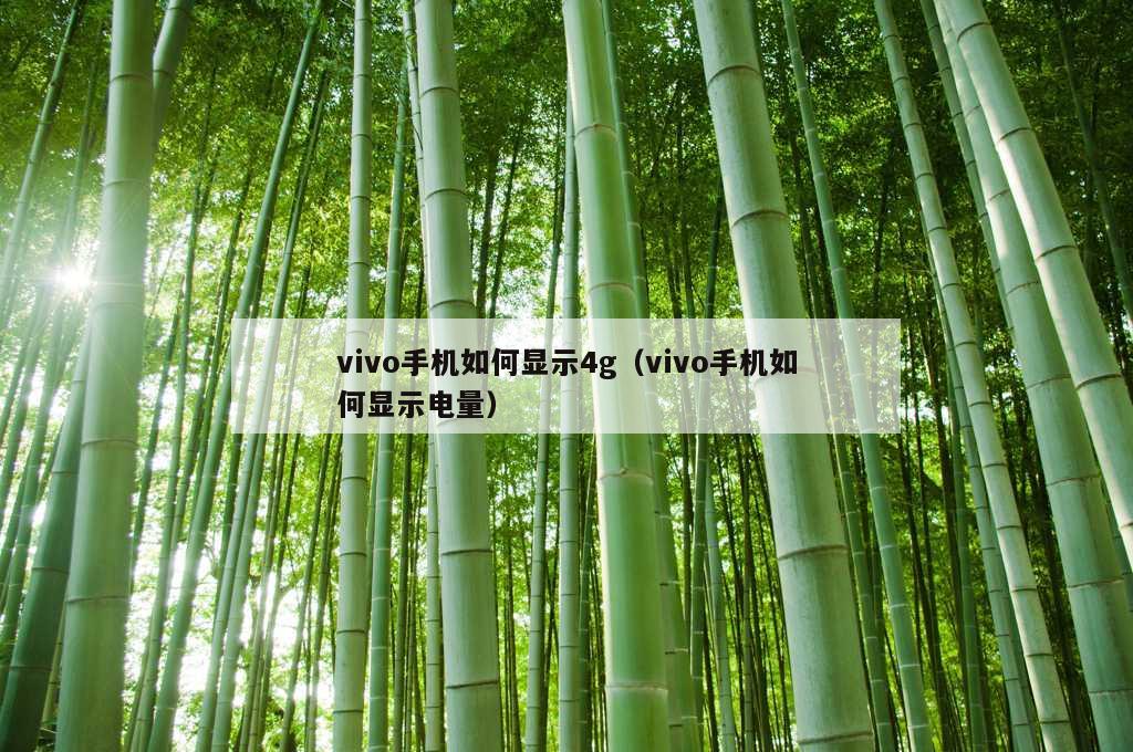 vivo手机如何显示4g（vivo手机如何显示电量）