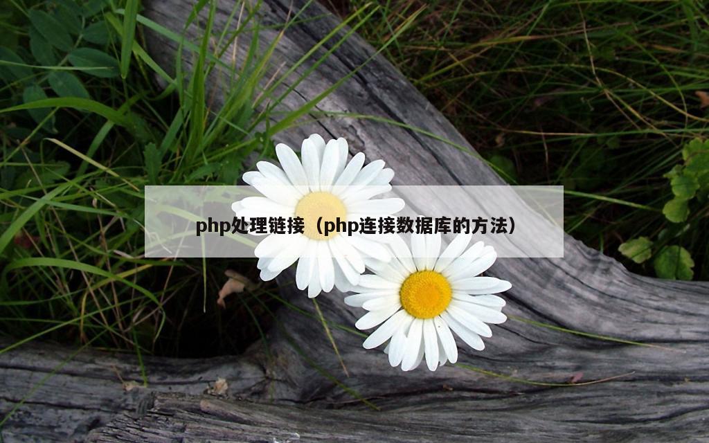 php处理链接（php连接数据库的方法）