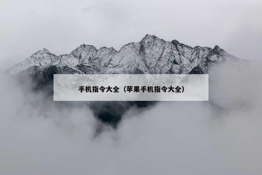 手机指令大全（苹果手机指令大全）