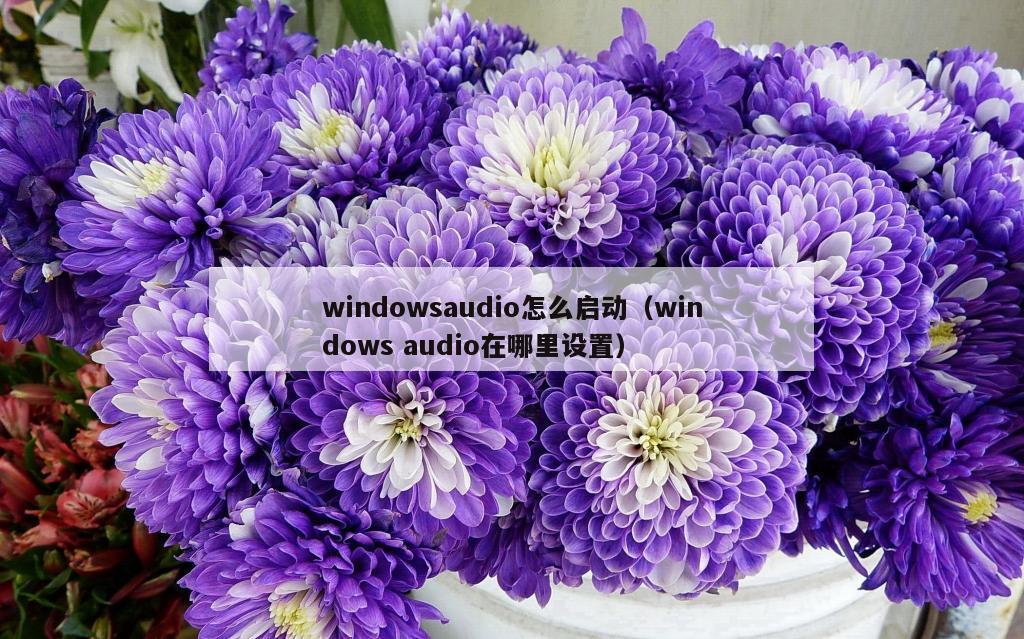 windowsaudio怎么启动（windows audio在哪里设置）