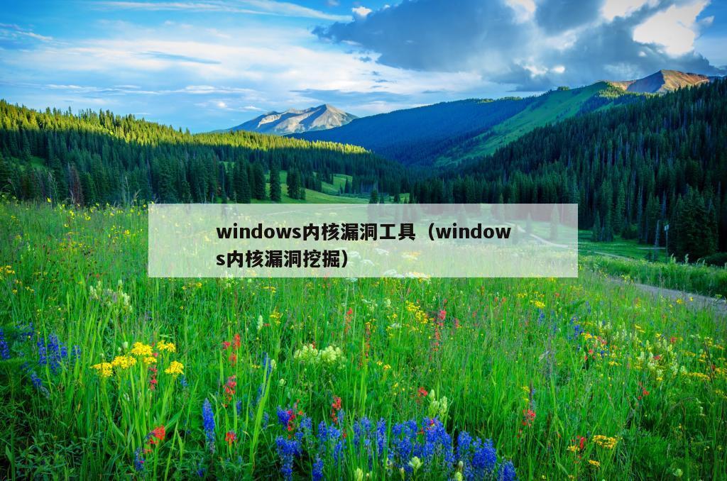 windows内核漏洞工具（windows内核漏洞挖掘）