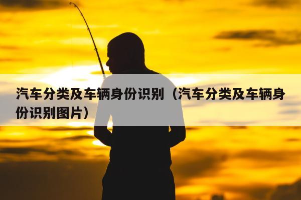 汽车分类及车辆身份识别（汽车分类及车辆身份识别图片）