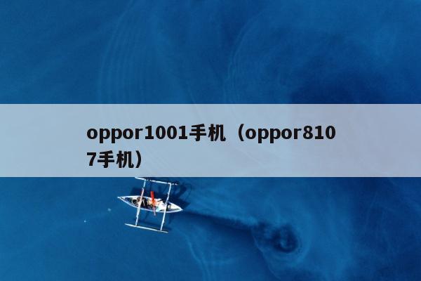 oppor1001手机（oppor8107手机）