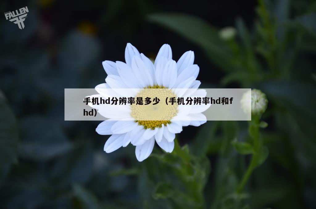 手机hd分辨率是多少（手机分辨率hd和fhd）