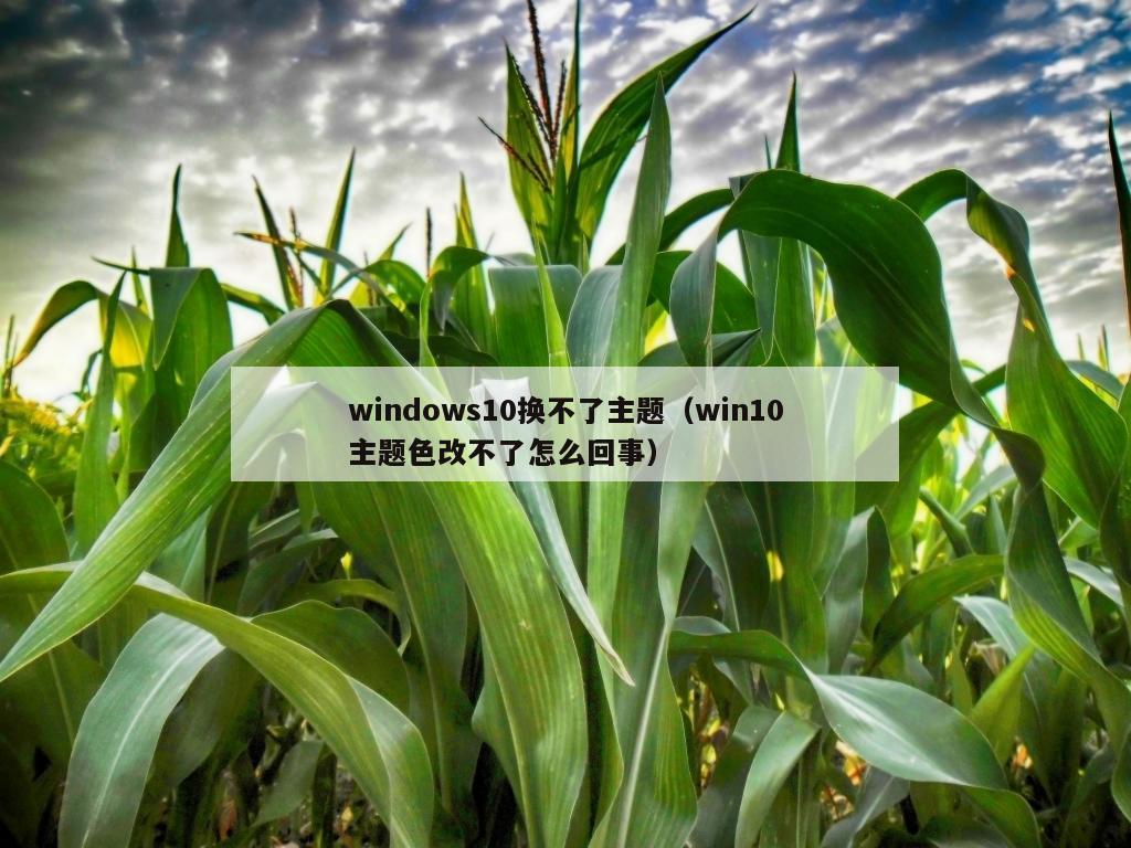 windows10换不了主题（win10主题色改不了怎么回事）