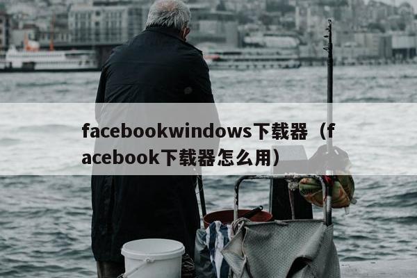 facebookwindows下载器（facebook下载器怎么用）