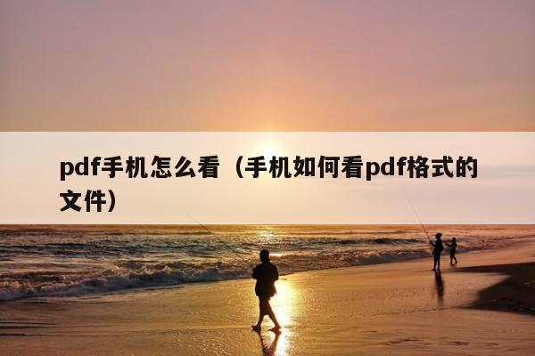 pdf手机怎么看（手机如何看pdf格式的文件）