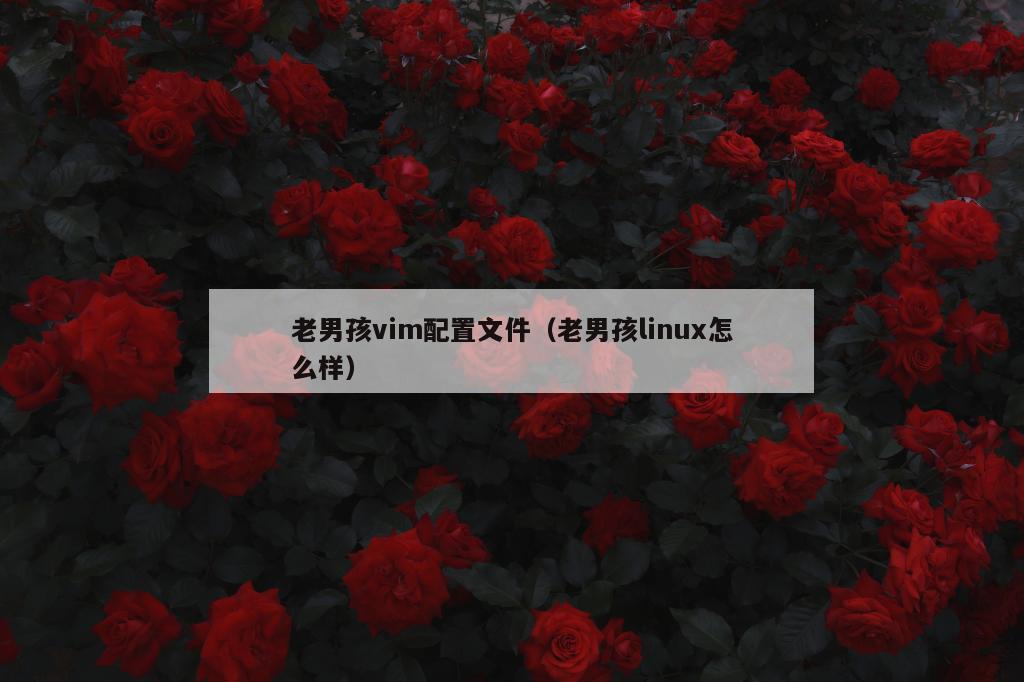 老男孩vim配置文件（老男孩linux怎么样）