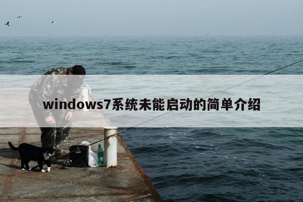 windows7系统未能启动的简单介绍