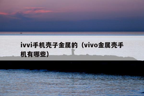 ivvi手机壳子金属的（vivo金属壳手机有哪些）