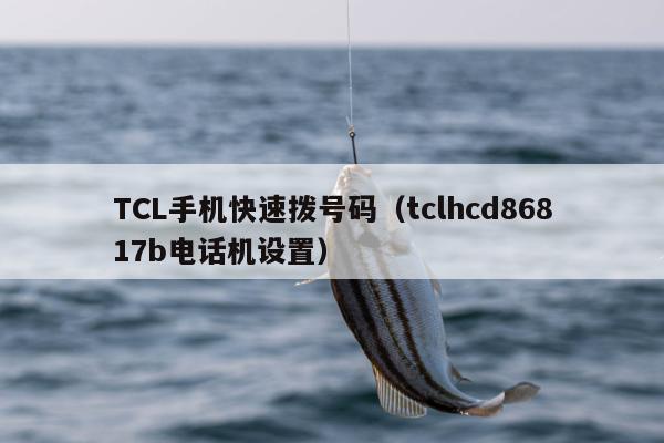 TCL手机快速拨号码（tclhcd86817b电话机设置）