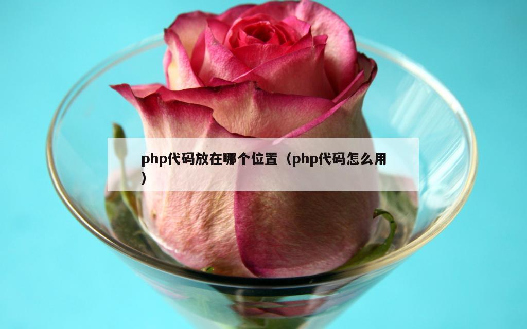 php代码放在哪个位置（php代码怎么用）