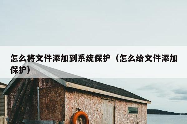 怎么将文件添加到系统保护（怎么给文件添加保护）