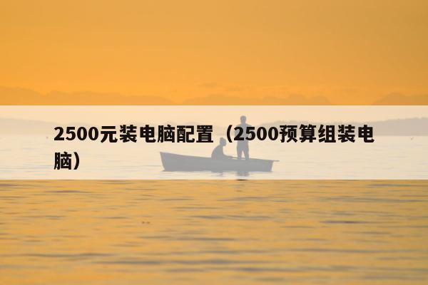 2500元装电脑配置（2500预算组装电脑）