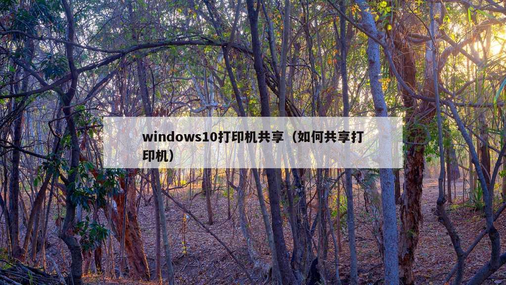 windows10打印机共享（如何共享打印机）