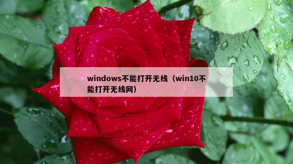 windows不能打开无线（win10不能打开无线网）