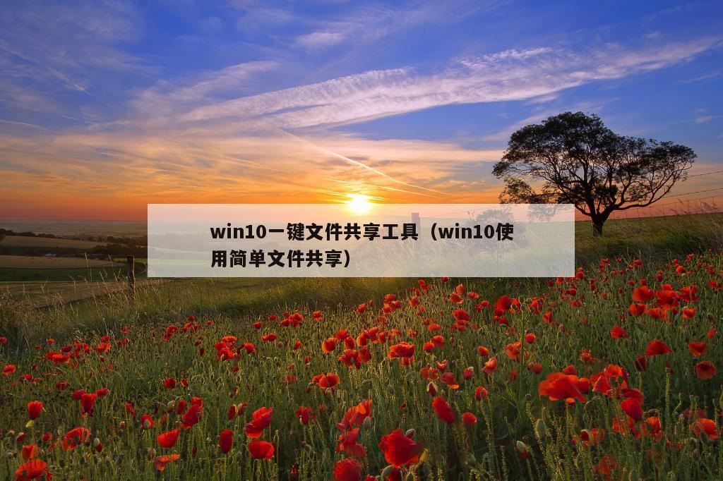 win10一键文件共享工具（win10使用简单文件共享）