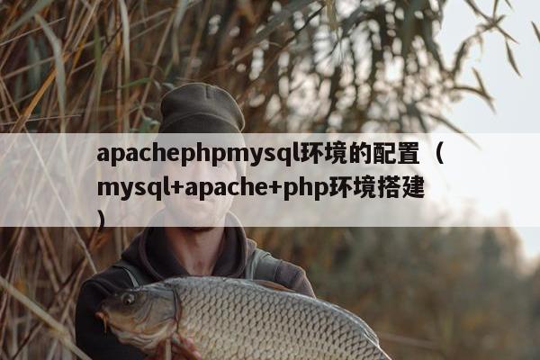 apachephpmysql环境的配置（mysql+apache+php环境搭建）