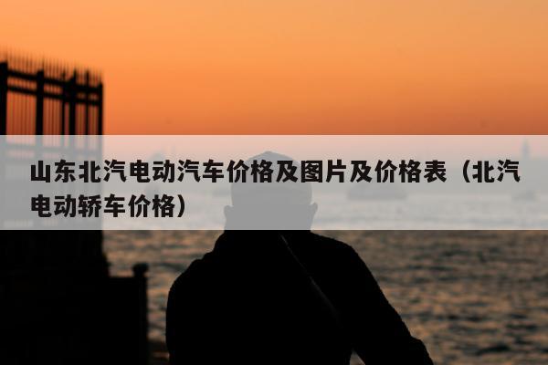 山东北汽电动汽车价格及图片及价格表（北汽电动轿车价格）