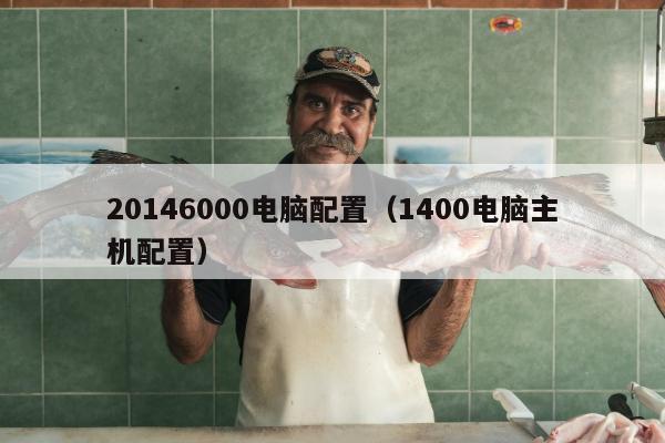 20146000电脑配置（1400电脑主机配置）