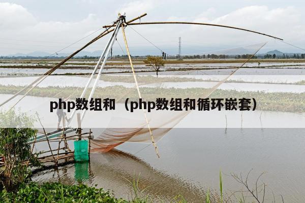 php数组和（php数组和循环嵌套）