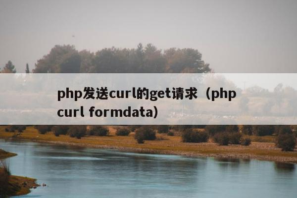 php发送curl的get请求（php curl formdata）