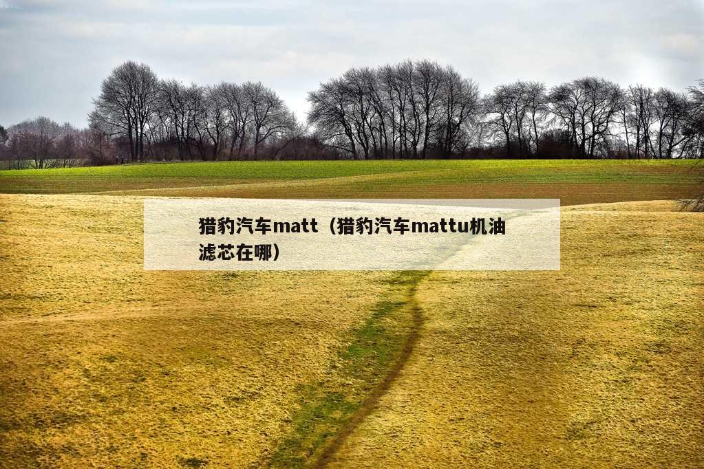 猎豹汽车matt（猎豹汽车mattu机油滤芯在哪）