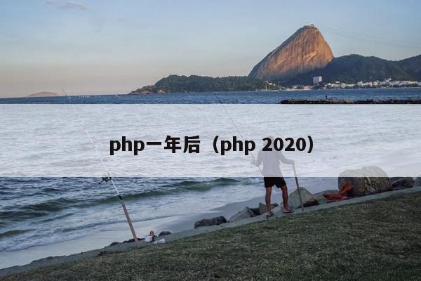 php一年后（php 2020）