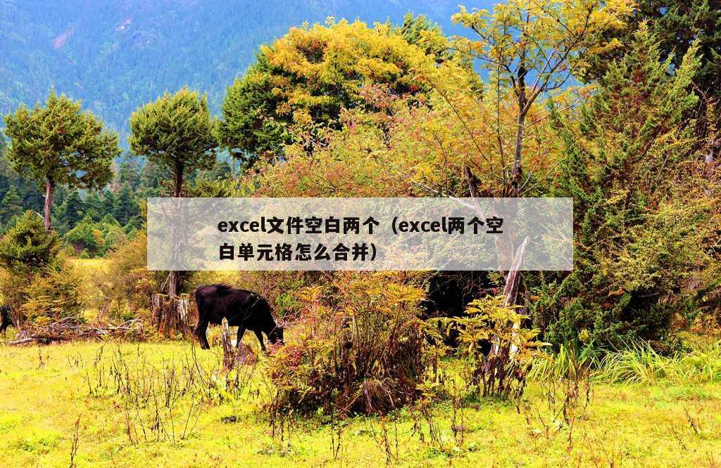 excel文件空白两个（excel两个空白单元格怎么合并）