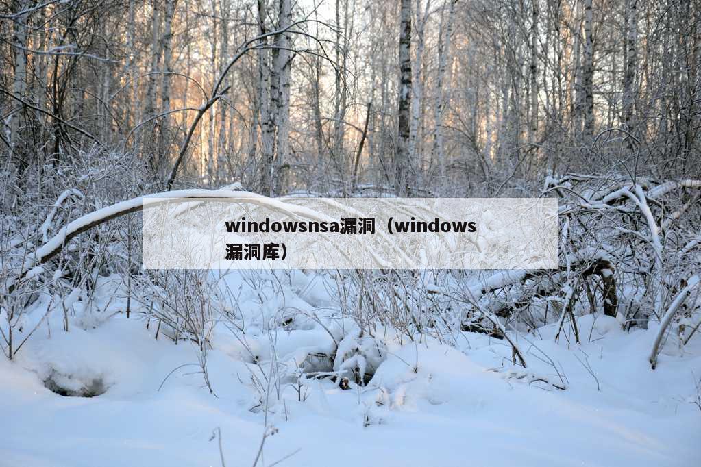 windowsnsa漏洞（windows漏洞库）