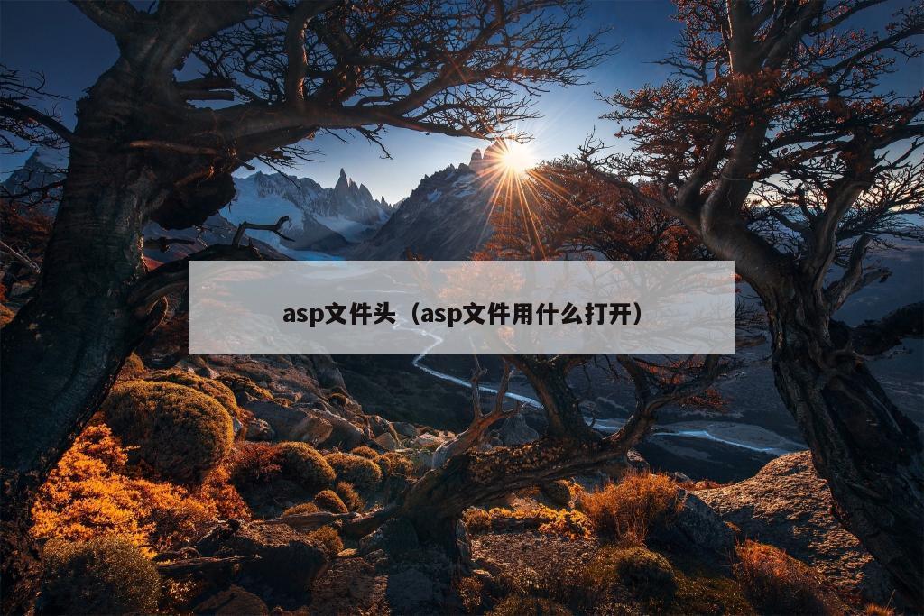 asp文件头（asp文件用什么打开）