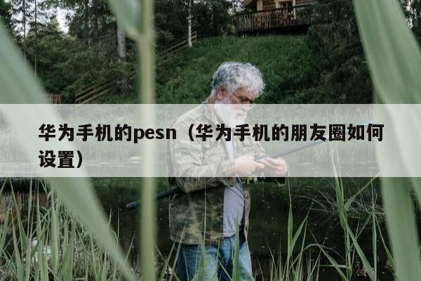 华为手机的pesn（华为手机的朋友圈如何设置）