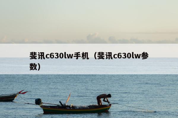 斐讯c630lw手机（斐讯c630lw参数）